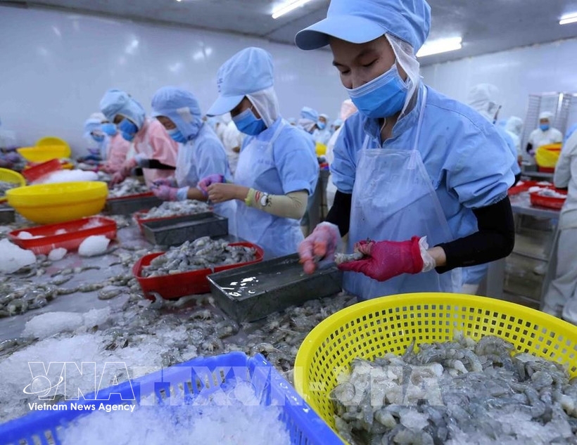 International sourcing expo to open new supply chain links for seafood sector